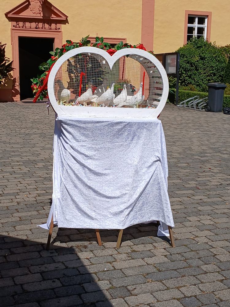 zu Hochzeiten können wir auch weiße Tauben fliegen lassen