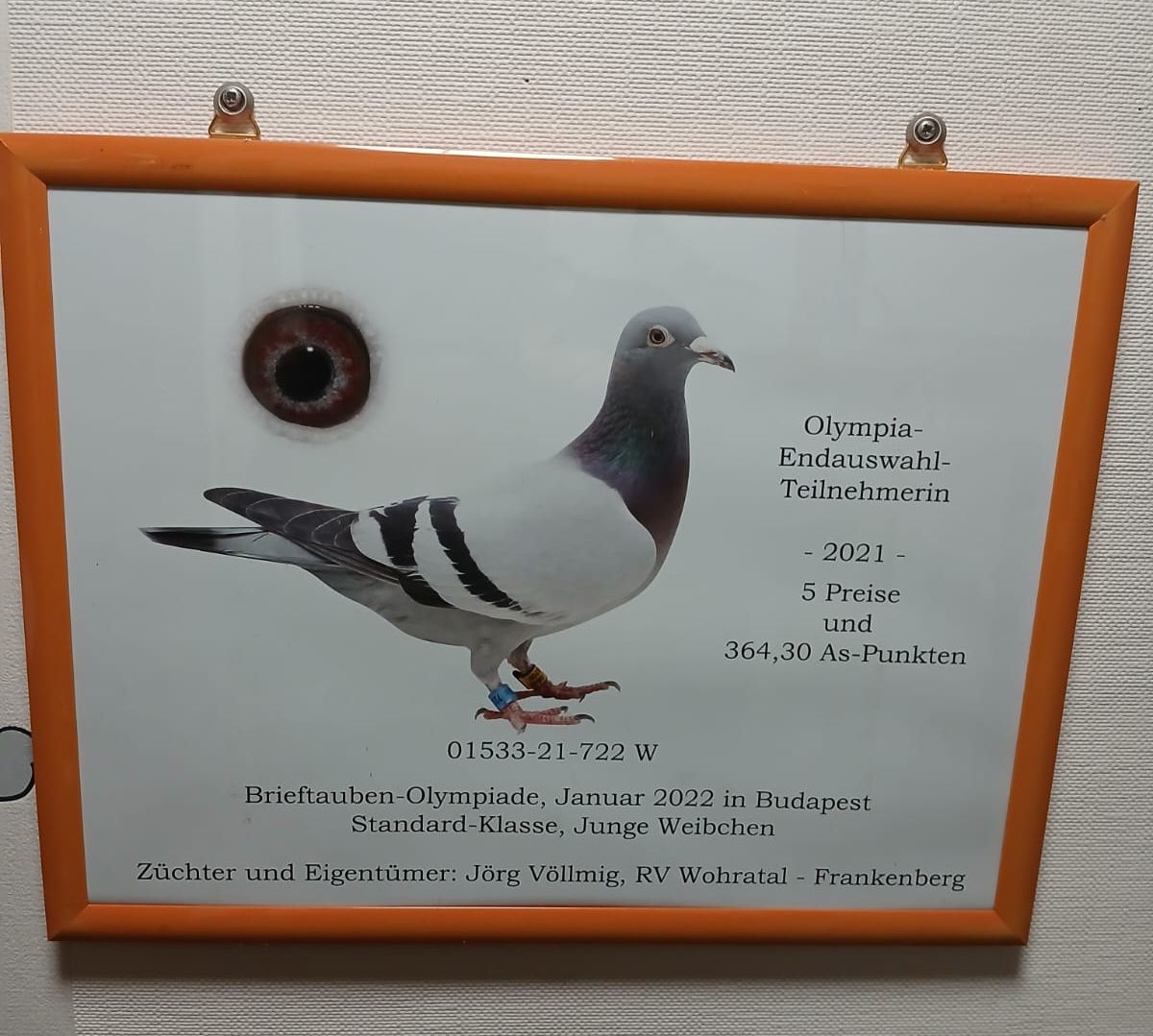 Olympia 2021 - Endauswahl Teilnehmer 5 Preis und 364,30 As-Punkten