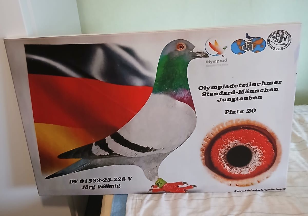 Olympiateilnehmer Mannschaft Deutschland, Olympiasieger gegen 15 Nationen in 2023